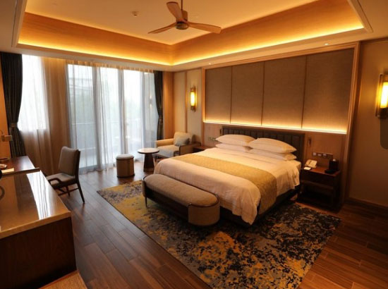 博鳌亚洲论坛会议中心东屿岛度假区豪华大床房(亚洲论坛大酒店)