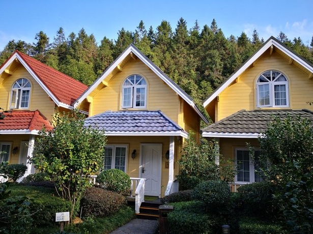 河源和平热龙温泉度假村二房木屋别墅