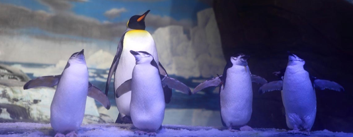 童世界海洋乐园