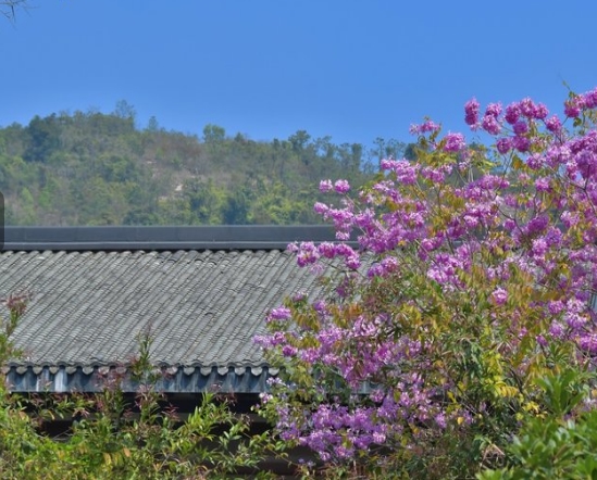 惠州中海汤泉度假村（原惠州中信汤泉度假村）欢迎您