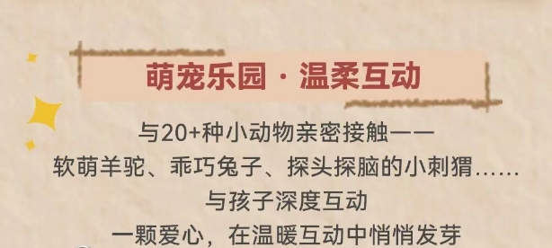 珠海海泉湾错峰畅玩冬日遛娃指南 从早嗨到晚