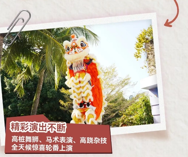 珠海海泉湾错峰畅玩冬日遛娃指南 从早嗨到晚