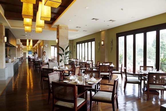 广州增城金叶子温泉度假酒店  山清水秀  树绿花香