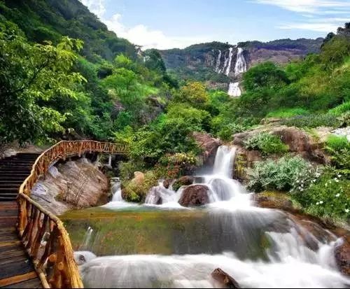 广州增城金叶子温泉度假酒店  山清水秀  树绿花香