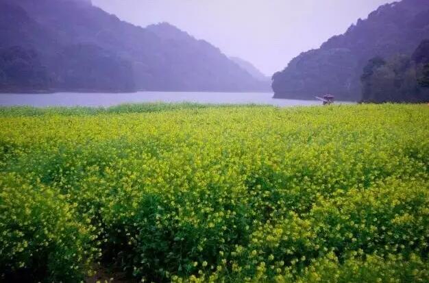广州从化清音温泉酒店欢迎您